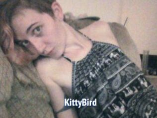 KittyBird