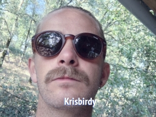 Krisbirdy