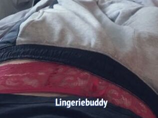 Lingeriebuddy