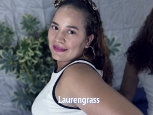 Laurengrass