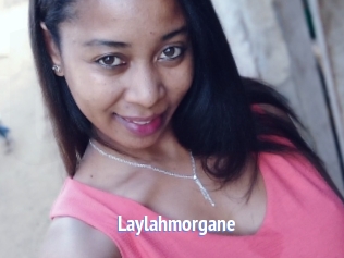 Laylahmorgane