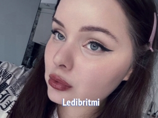 Ledibritmi