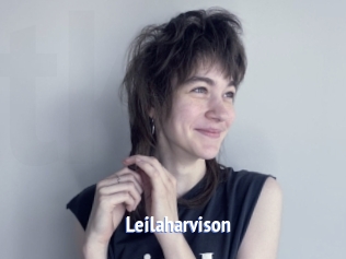 Leilaharvison