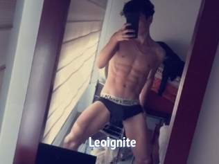 Leoignite