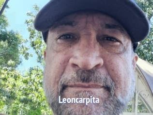 Leoncarpita