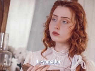 Leyamaller