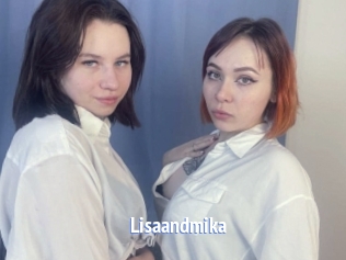 Lisaandmika