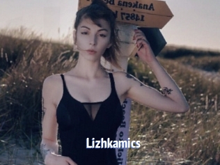 Lizhkamics