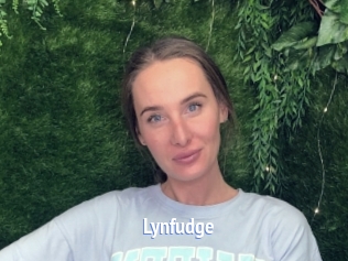 Lynfudge