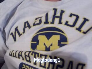 Meglodong1