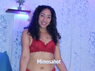 Mimosahot