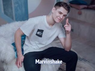 Marvinshake