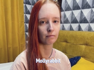 Mollyrabbit