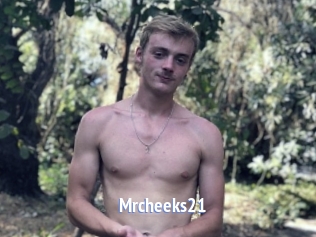 Mrcheeks21