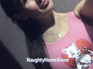 NaughtyHomeAlone