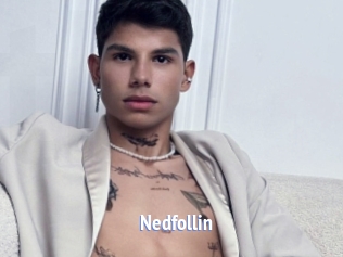 Nedfollin