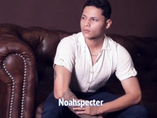 Noahspecter