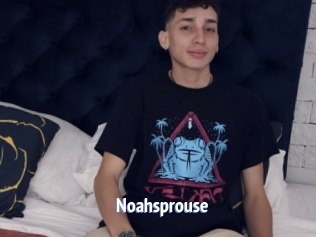 Noahsprouse