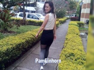 PamEinhorn