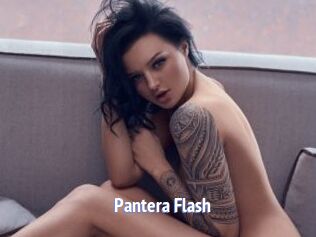 Pantera_Flash