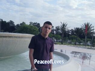 PeaceofLoves