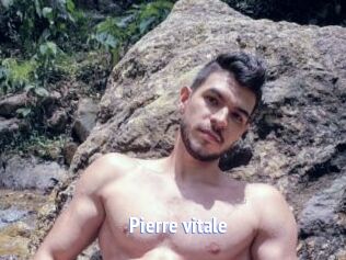 Pierre_vitale