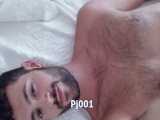 Pj001