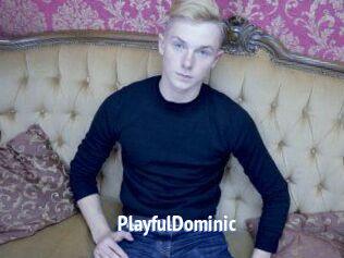 Playful_Dominic