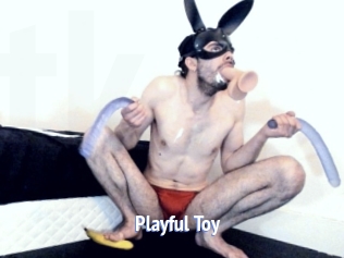 Playful_Toy