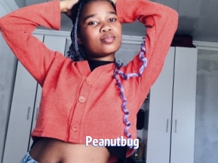 Peanutbug