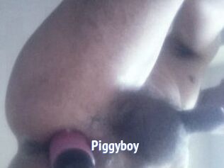 Piggyboy