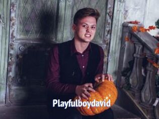 Playfulboydavid