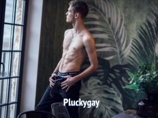 Pluckygay