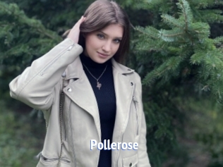 Pollerose