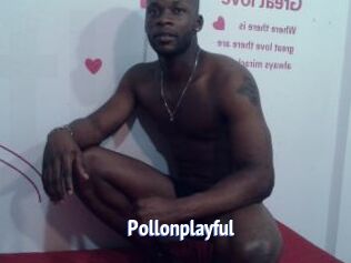 Pollonplayful