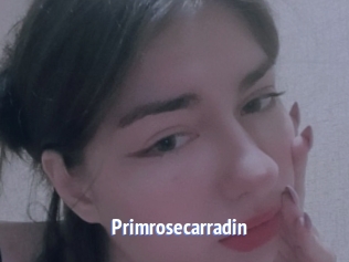 Primrosecarradin