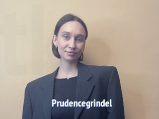 Prudencegrindel