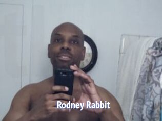 Rodney_Rabbit