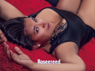 Roseereed