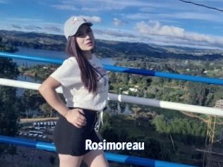 Rosimoreau