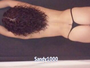 Sandy1000
