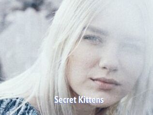 Secret_Kittens