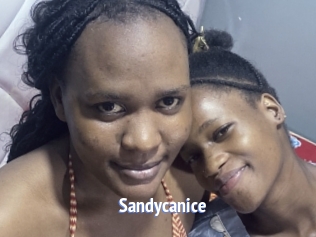 Sandycanice