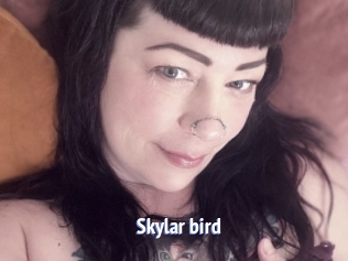 Skylar_bird