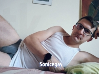 Sonicegay