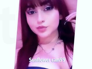 Sunflower_cam99