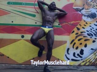 TaylorMusclehard