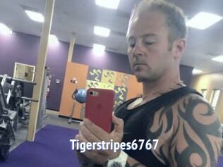 Tigerstripes6767