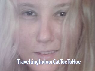 TravellingIndoorCatToeToHoe