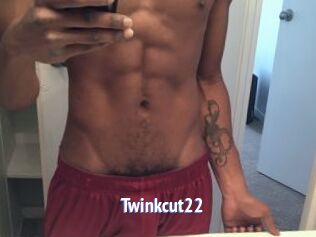 Twinkcut22